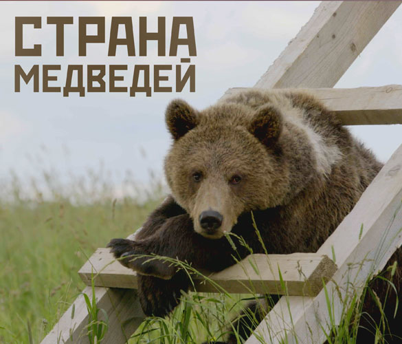 Страна медведей